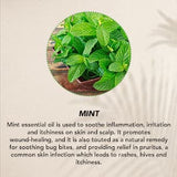 Activated Charcoal with Peppermint Oil Pack of 3